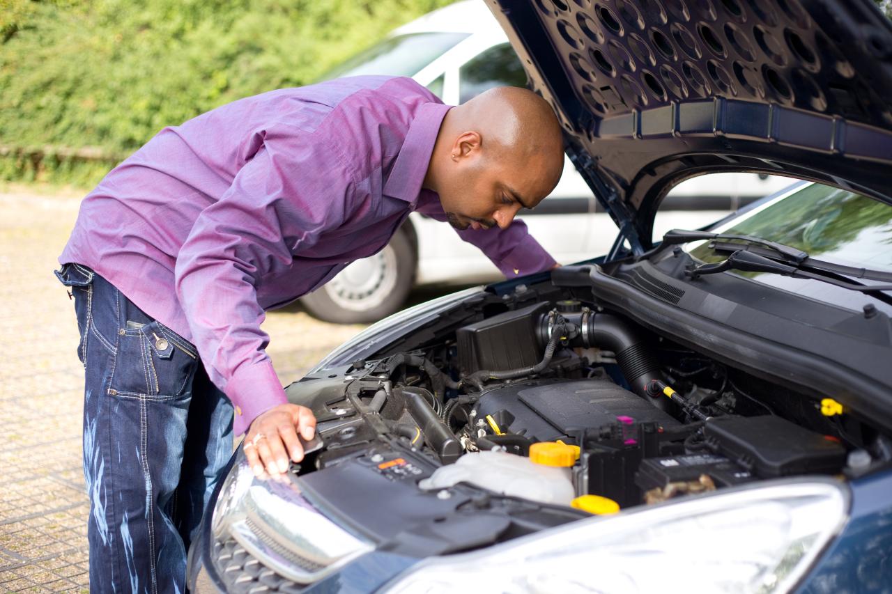 A person wearing a purple shirt inspecting the electrical connectors under the hood of their car during the daytime.