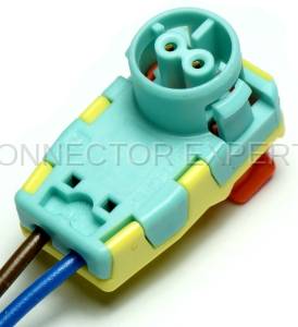 Normal Order - CE2246 - Image 2