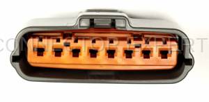 Normal Order - CE8038 - Image 4