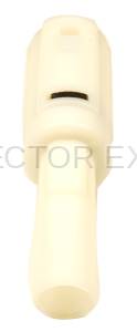 Normal Order - CE1027M - Image 4