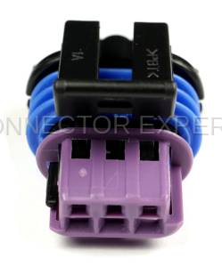 Normal Order - CE3181 - Image 2