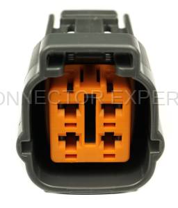 Normal Order - CE4131F - Image 2
