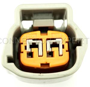 Normal Order - CE2471 - Image 5