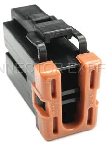 Normal Order - CE2539 - Image 4