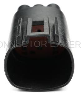 Normal Order - CE6143 - Image 2