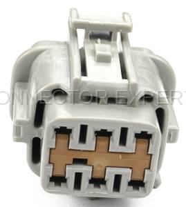 Normal Order - CE6148 - Image 2