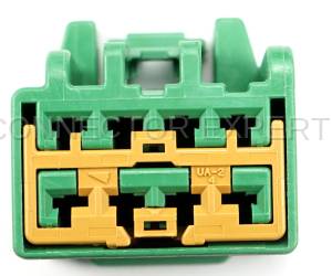 Normal Order - CE8056 - Image 5