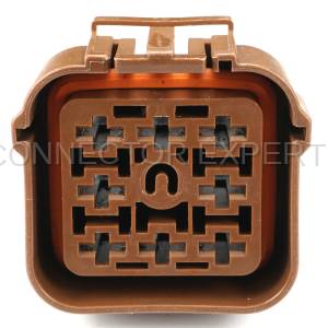 Normal Order - CE8063 - Image 2
