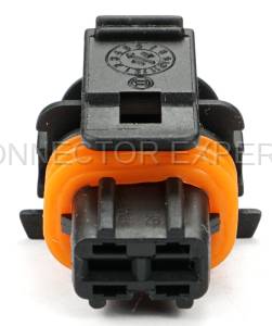 Normal Order - CE2574 - Image 2