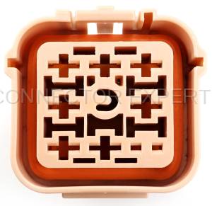 Normal Order - CE8077 - Image 5