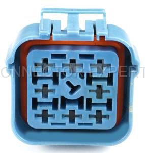 Normal Order - CE8107 - Image 2