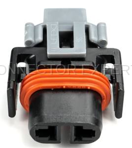 Normal Order - CE2011F - Image 2