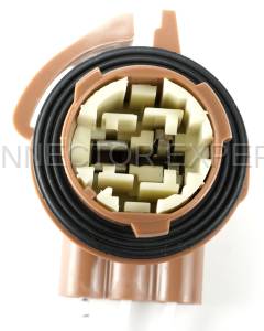Normal Order - CE3134 - Image 2