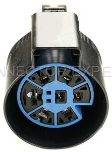 Normal Order - CE7006 - Image 2