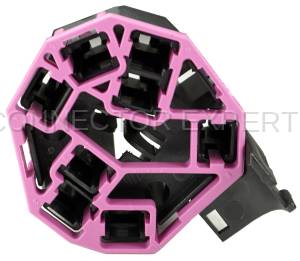 Normal Order - CE8014 - Image 4
