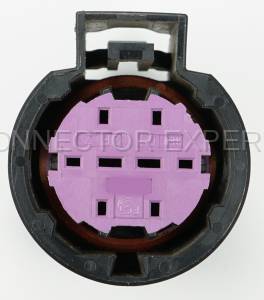 Normal Order - CE8025 - Image 5