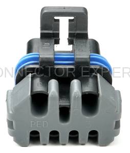Normal Order - CE7004BKF - Image 4