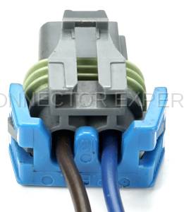 Normal Order - CE2125 - Image 4