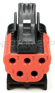 Normal Order - CE5056 - Image 2