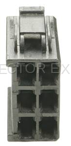 Normal Order - CE6181 - Image 4