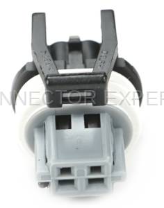 Normal Order - CE2655 - Image 2