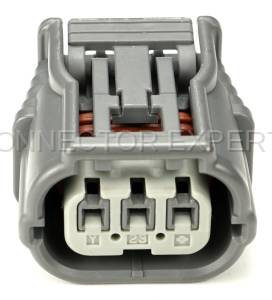 Normal Order - CE3129 - Image 2