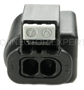 Normal Order - Horn - Image 4