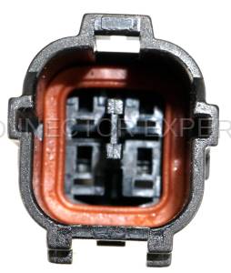 Normal Order - CE4019M - Image 4