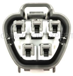 Normal Order - CE5074 - Image 3