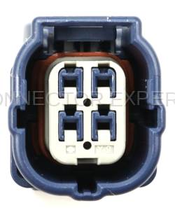 Normal Order - CE4079 - Image 5
