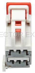 Normal Order - CE6231 - Image 2