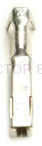 Normal Order - C-TERM95D - Image 5