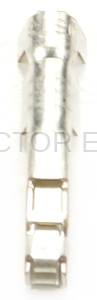 Normal Order - E-TERM191 - Image 3