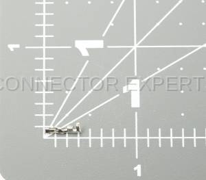 Normal Order - E-TERM462 - Image 5