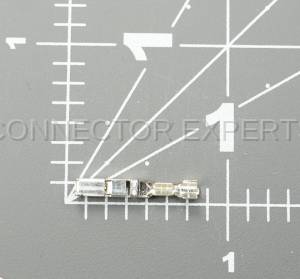 Normal Order - E-TERM484 - Image 4