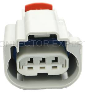 Normal Order - CE3355 - Image 2