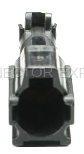 Normal Order - CE1021M - Image 2
