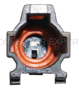 Normal Order - CE1021M - Image 5