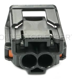 Normal Order - Horn - Image 4