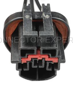 Normal Order - CE3029 - Image 2
