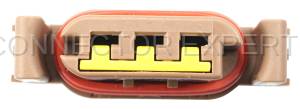 Special Order  - Park/Turn Light - Rear - Image 5