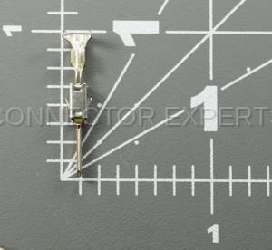 Normal Order - E-TERM249C2 - Image 5