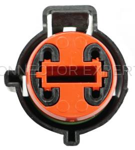 Normal Order - CE4046 - Image 5