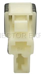 Normal Order - CE2825 - Image 2