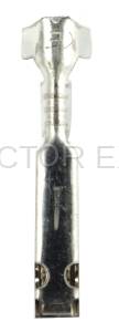 Normal Order - C-TERM91 - Image 3