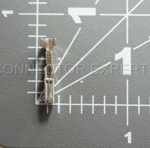 Normal Order - C-TERM91 - Image 5