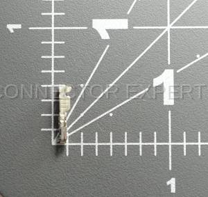 Normal Order - E-TERM529 - Image 5
