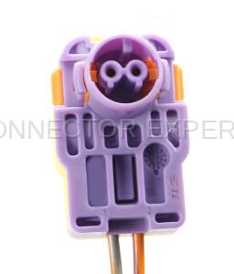 Special Order  - CE2808VL - Image 2