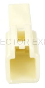 Normal Order - CE1059AM - Image 2