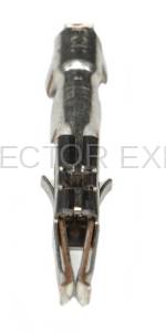 Normal Order - E-TERM245B - Image 3